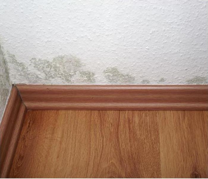 Mold growth around baseboards of Phoenix home